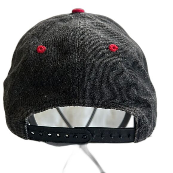 Double Portion HTWS Hawaii Champions Snapback Hat Hawaiian Flag Brim - Picture 6 of 6